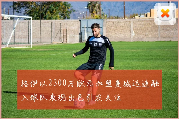 格伊以2300万欧元加盟曼城迅速融入球队表现出色引发关注