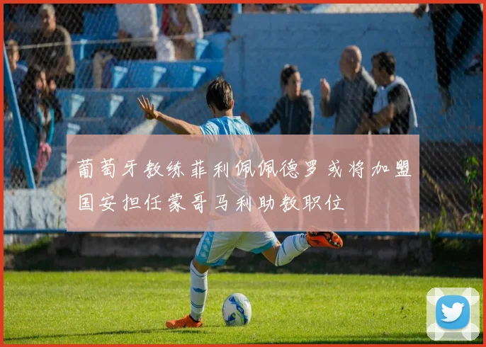 葡萄牙教练菲利佩佩德罗或将加盟国安担任蒙哥马利助教职位
