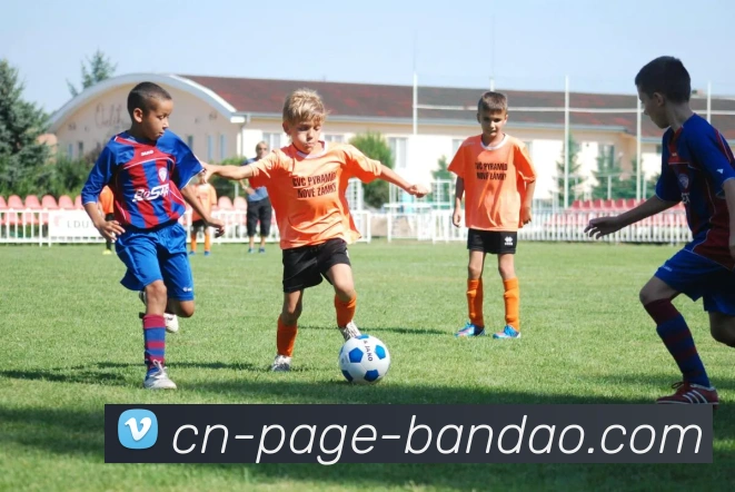 半岛体育APP 体育赛事宣传图