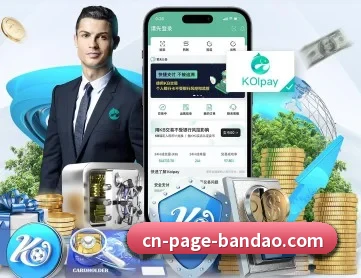 半岛体育 APP
